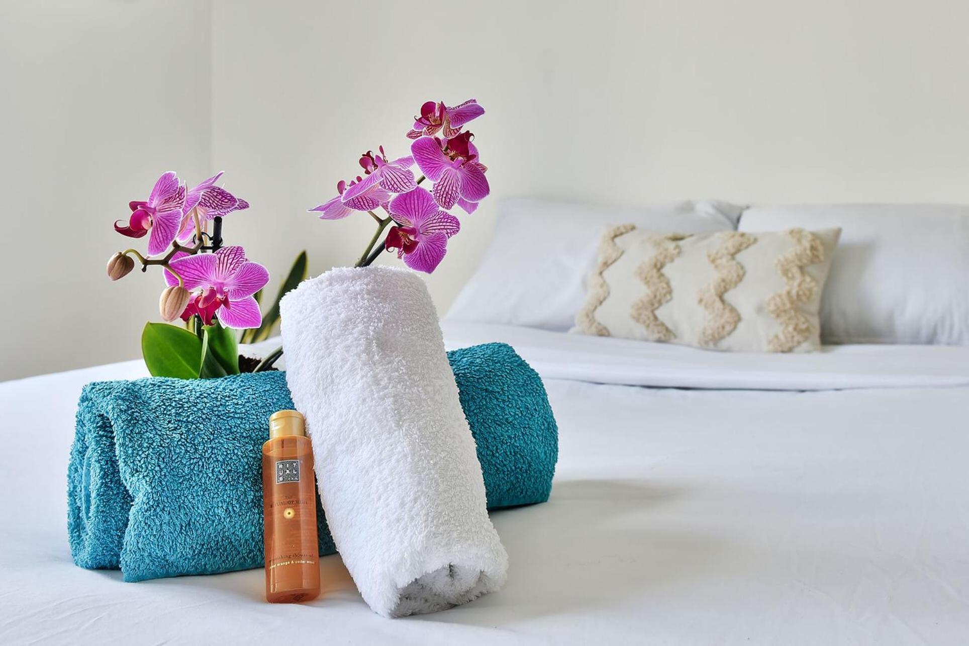 Apartment Soyeux De La Bruyere/ Grenoble*parking Gratuit Grenoble